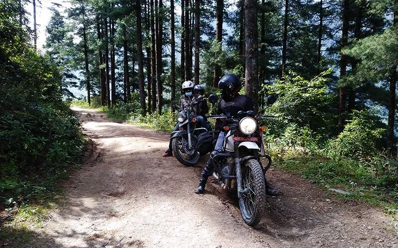 Traversée des forêts de l’Himalaya